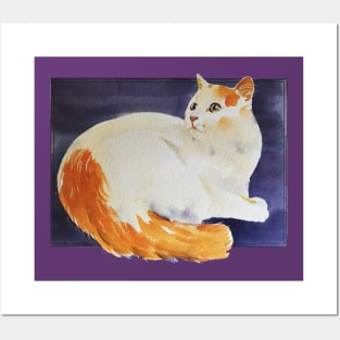 Orange and white longhair cat on purple Posters and Art